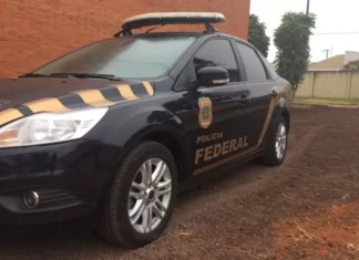 PF apreende droga em forro de bolsa feminina