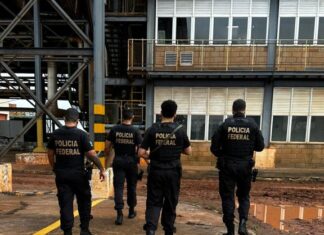 PF incinera cerca de 176kg de drogas no interior paulista