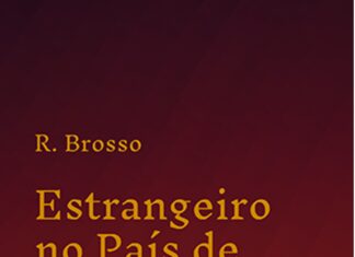 Poesia lírica, intersígnica e concreta: pesquisador resgata itinerário poético em livro
