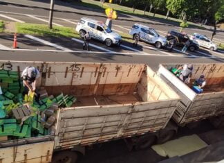 PF e PM/SP prendem em flagrante homem por tráfico de drogas