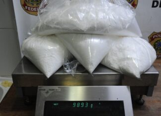 Em ações diferentes, PF prende cinco pessoas transportando cocaína e skunk