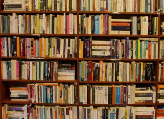 Prêmio São Paulo de Literatura tem recorde de inscrições e anuncia curadores