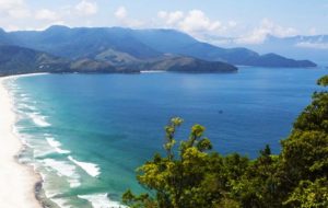 Meio Ambiente: conheça os parques em SP com áreas de proteção