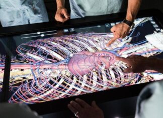 Dia Mundial do Transplante : três avanços na medicina que podem salvar mais vidas