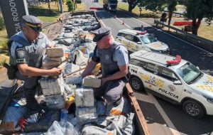 Em cinco meses, Polícia de SP aumenta apreensões de drogas em 15%