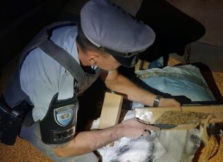 PM Rodoviária de SP prende dupla que transportava 2,4 toneladas de maconha em Pardinho