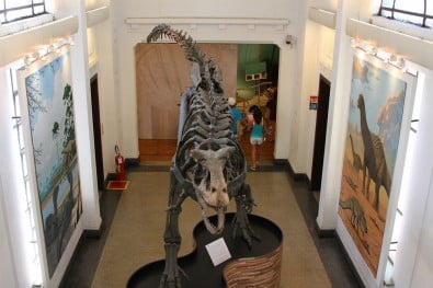 photo-8