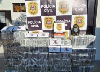 Polícia apreende caminhão com 250 tijolos de cocaína na Castello Branco usando câmeras