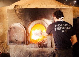 PF incinera 2,4 toneladas de cocaína em Santos