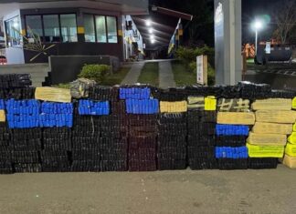 PF combate tráfico de drogas em ação conjunta no interior de SP