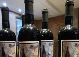 Vinhedo Girassol lança o Safra Mix, uma combinação de vinhos das safras atual e futura produzidos no Cerrado