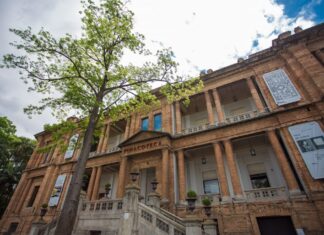 Cinco exposições imperdíveis para visitar neste fim de semana no estado de SP