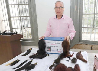 Reeducandas de penitenciária feminina doam cabelo para confecção de perucas