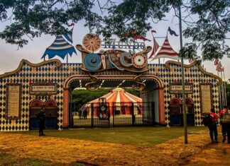 Natal e férias escolares: veja atrações culturais e dicas de passeios e cursos