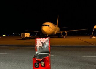 PF e Receita Federal fazem a maior apreensão de Haxixe em carga estrangeira no Aeroporto Internacional