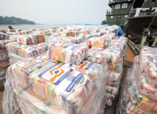 Governo do Amazonas divulga boletim sobre a estiagem no estado, neste domingo