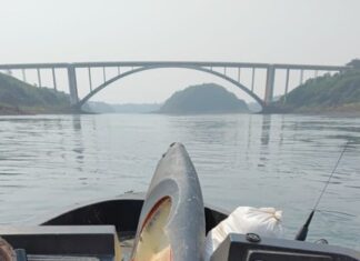 PF apreende capulho em embarcação abandonada no Rio Paraná