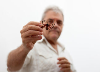 Colecionador de insetos na infância, pesquisador é um dos cientistas que mais descreveram aranhas no mundo