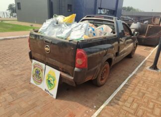 PF e BPFRON apreendem quase 500 kg de agrotóxicos contrabandeados