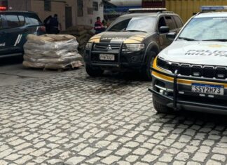 PF, em ação conjunta, apreende 760kg de cocaína no Porto de Santos/SP