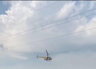 PF e Polícia Militar do Paraná apreendem mais de 400 kg de maconha