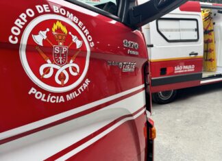 Corpo de Bombeiros de SP resgata cão amarrado de córrego em Santo André