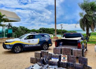 FICCO/SP apreende 600 kg de maconha em São Paulo