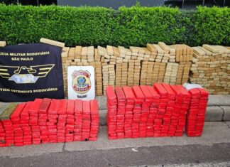 FICCO/SP apreende 825 kg de maconha