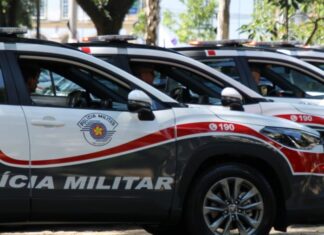 Lollapalooza 2025: PM amplia efetivo com mais de 1,9 mil policiais para garantir a segurança do público