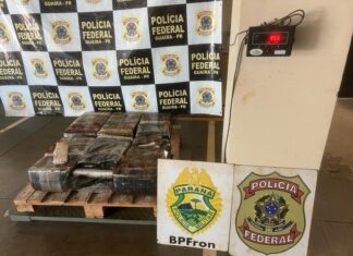 PF e PM/PR apreendem 95 kg de maconha no Paraná