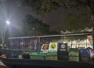 PF e forças estaduais apreendem carga de cigarros contrabandeados em São Miguel do Iguaçu/PR