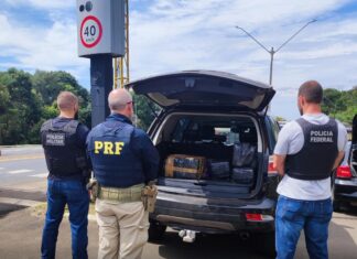 FICCO/PR prende homem com mais de 110 kg de maconha no Paraná