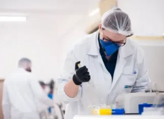 Substâncias isoladas de esponjas marinhas mostram potencial para tratar malária, diz estudo