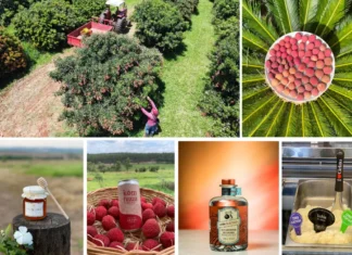 Com SP Produz, lichia movimenta e desenvolve economia do Alto Vale do Paranapanema