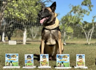 Animais da Polícia Penal de SP são vencedores em mostra de cães de raça em Itapetininga