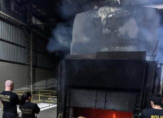 PF incinera 4,5 toneladas de maconha e cocaína em SP
