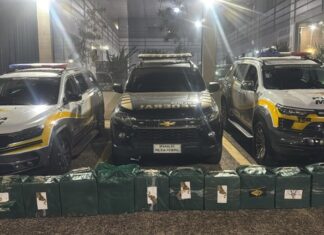 PF e Polícia Militar Rodoviária apreendem mais de 340 quilos de cocaína em São Paulo