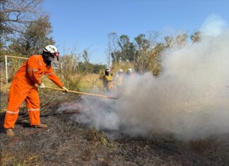 Fundação Florestal capacita equipes para prevenção e combate a incêndios em unidade de conservação