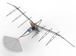 Pesquisa da Unesp se inspira na fauna brasileira para desenvolver nova geração de drones