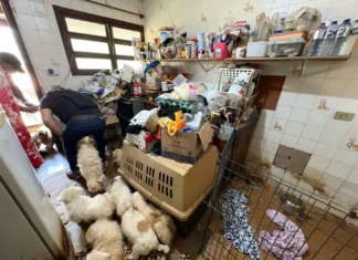 Polícia resgata mais de 100 animais em situação de maus-tratos na Grande SP
