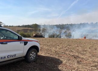 Defesa Civil monitora seis ocorrências de incêndio em diferentes regiões de SP