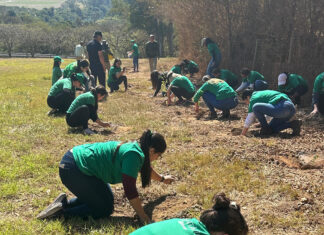 Grupo HEINEKEN Brasil e Instituto Líbio promovem ação de voluntariado com foco em recuperação ambiental