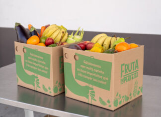 Fruta Imperfeita chega a Campinas com proposta de reduzir o desperdício e transformar a relação com o alimento