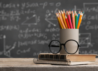 Dia dos Profissionais da Educação: Livros gratuitos na BiblioSP Digital para inspirar e valorizar quem ensina