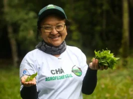 São Paulo fortalece turismo rural; confira os programas em andamento