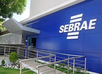 Sebrae-SP está com vagas abertas na capital paulista e em Osasco