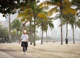 Defesa Civil alerta para rajadas de vento moderadas a fortes em São Paulo