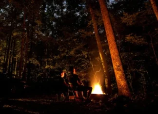 Programa Brasil MAIS, do Ministério da Justiça e Segurança Pública, fortalece o combate a crimes ambientais com tecnologia de ponta