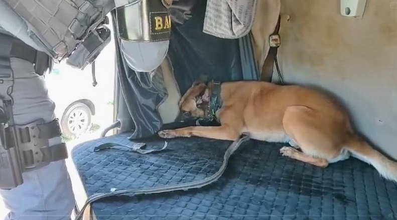 Captura-de-tela-2025-11-26-085212