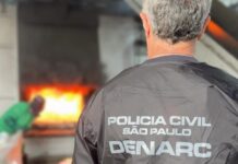 Quase 200 toneladas de drogas são apreendidas em todo o Estado